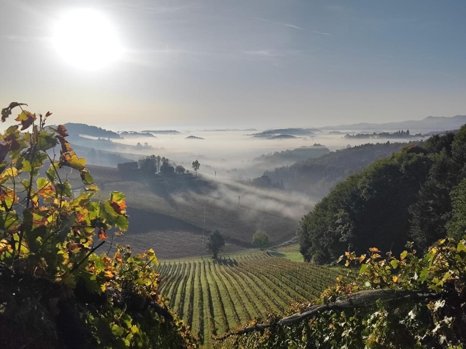 Weingut Fellner Bed & Breakfast Leutschach Exterior photo